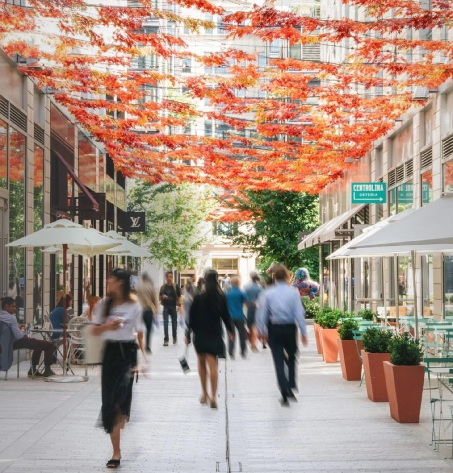 Fall Leaves Palmer Alley at CityCenterDC